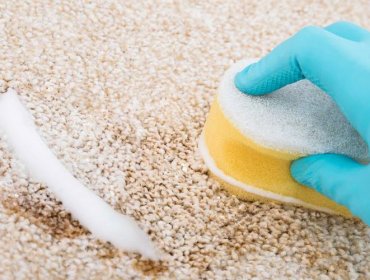 Carpet Cleaning Services