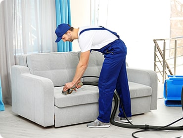 Carpet Cleaning Services