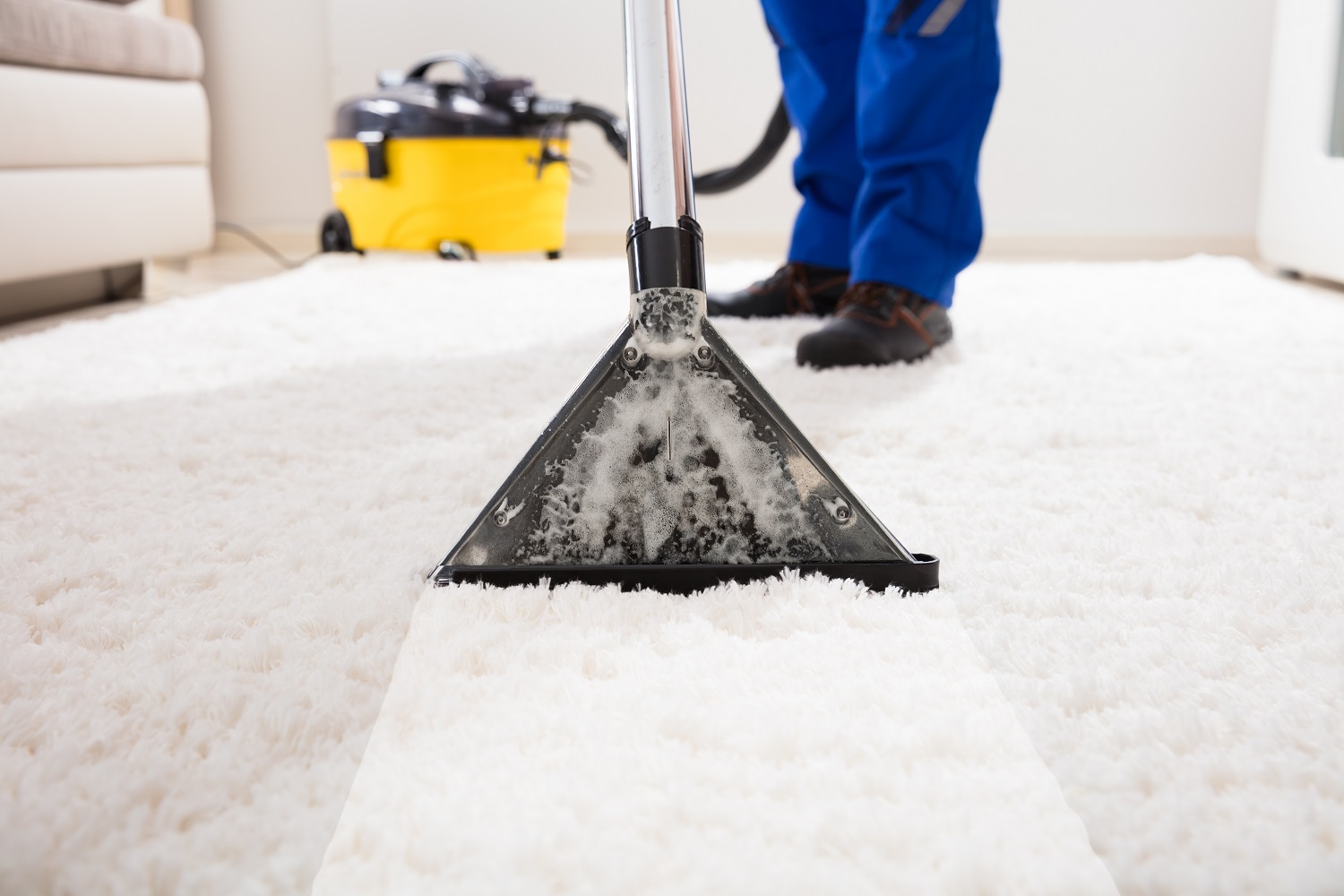 carpet cleaning