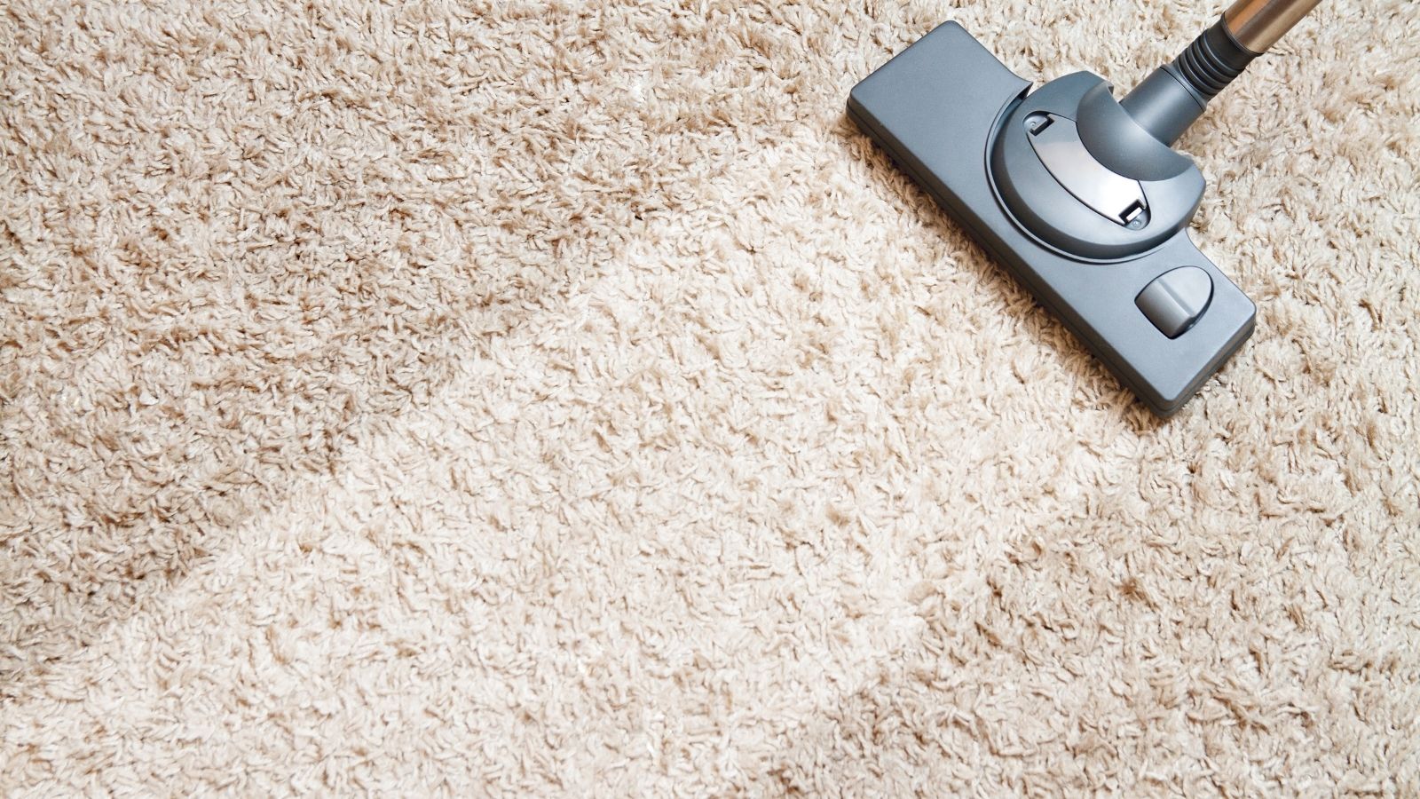 carpet-cleaning