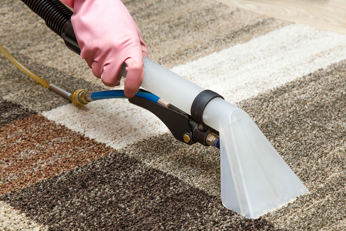 carpet cleaning