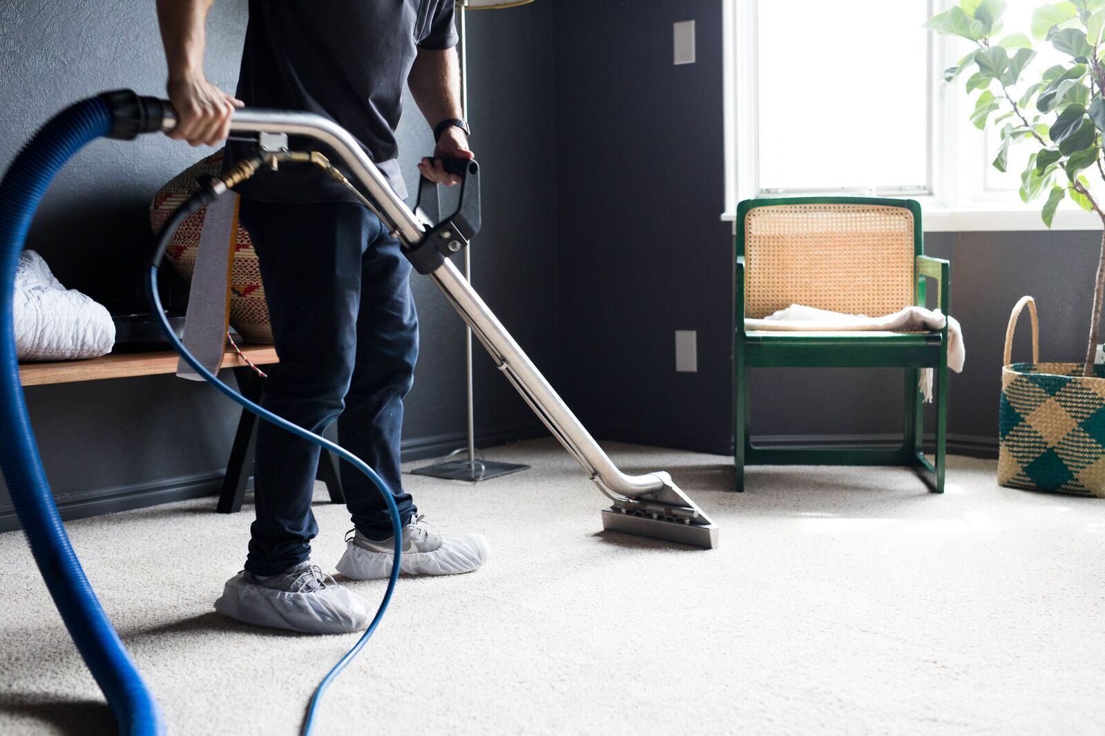 carpet cleaning