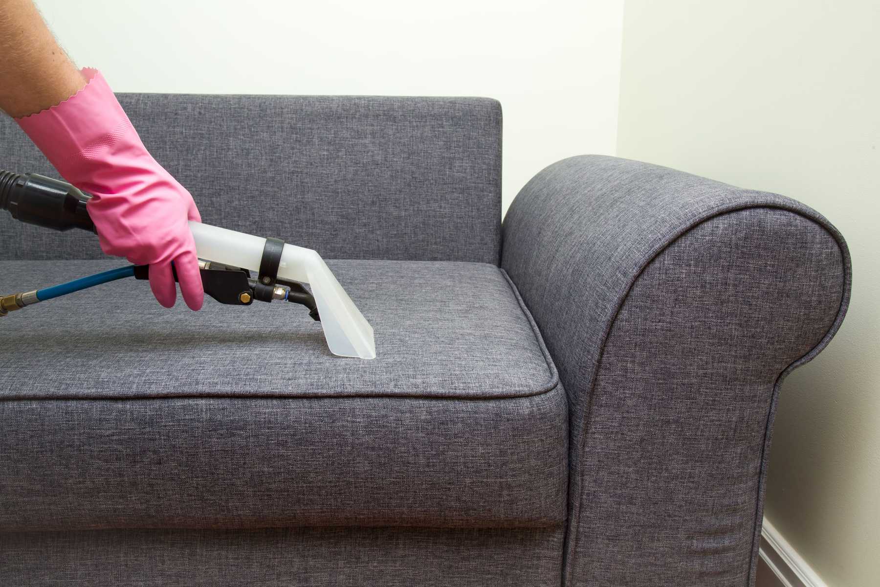 couch cleaning