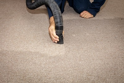 wet carpet drying